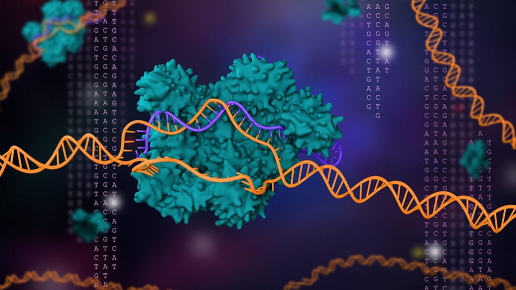 CRISPR and Genome Editing: a Split&nbsp;Path