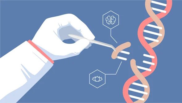 The Future of Designer Babies and Genomic&nbsp;Editing