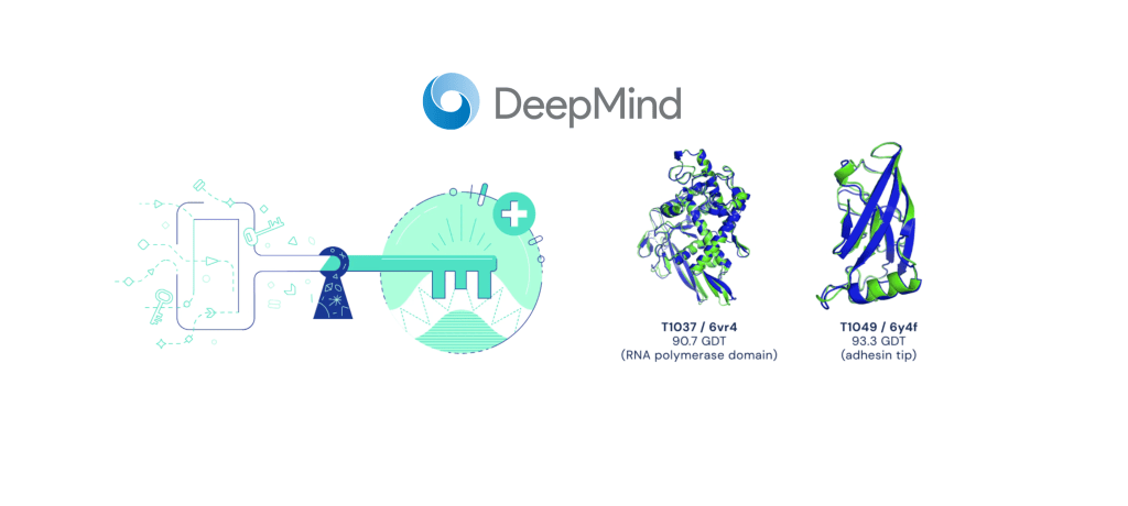 Unlocking the Secrets of Proteins with Alphafold2: A Breakthrough in&nbsp;Bioinformatics