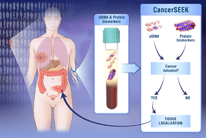 Revolutionizing Cancer Detection: The Potential of Blood&nbsp;Tests