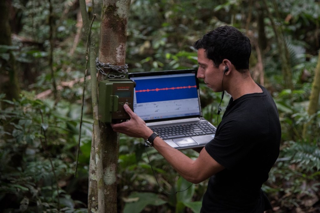 Listening to the Environment: The Emerging Field of&nbsp;Bioacoustics