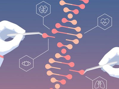 What is Soft&nbsp;CRISPR?