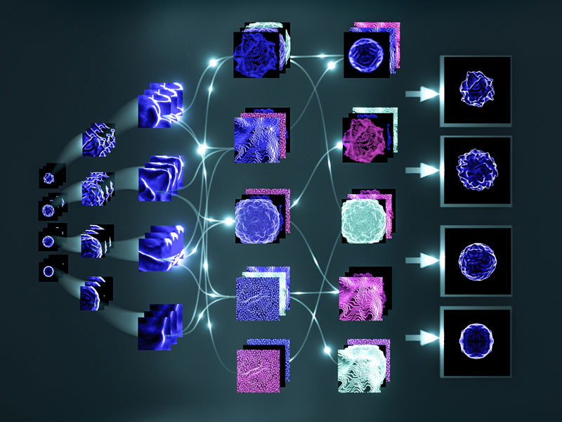 What Role does Machine Learning Play in Early Cancer&nbsp;Detection?